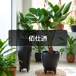 佰仕通（图2）