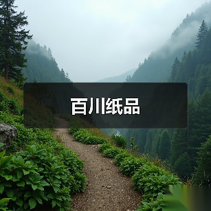百川纸品（图4）