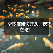 求职信如何开头，技巧在这！（图3）
