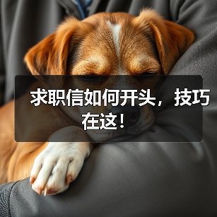 求职信如何开头，技巧在这！（图4）