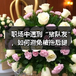 职场中遇到“猪队友”,如何避免被拖后腿(图4) 职场中遇到“猪队友”,如何避免被拖后腿(图4)