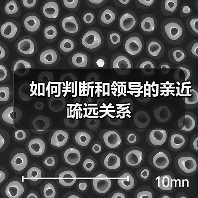如何判断和领导的亲近疏远关系(图3) 如何判断和领导的亲近疏远关系(图3)