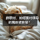 辞职时，如何面对领导的高薪资挽留？（图4）