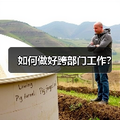 如何做好跨部门工作？（图2）