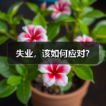 失业，该如何应对？（图2）