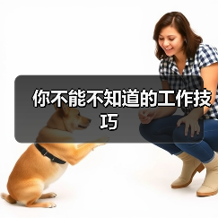 你不能不知道的工作技巧（图4）