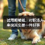 试用期被裁，对职场人来说其实是一件好事（图3）