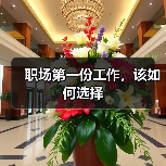 职场第一份工作，该如何选择（图2）