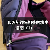 和强势领导相处的求生指南（1）（图2）