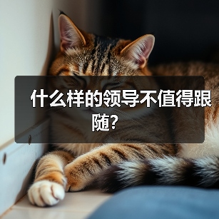 什么样的领导不值得跟随？（图2）
