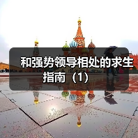 和强势领导相处的求生指南（1）（图3）