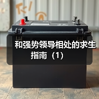和强势领导相处的求生指南（1）（图4）