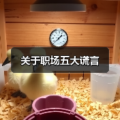 关于职场五大谎言（图1）