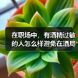 在职场中，有酒精过敏的人怎么样避免在酒局中喝酒？（图1）
