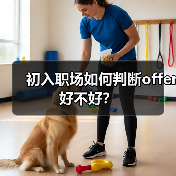 初入职场如何判断offer好不好？（图1）
