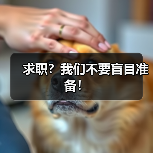 求职？我们不要盲目准备！（图2）