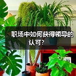 职场中如何获得领导的认可？（图4）