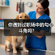 你遇到过职场中的勾心斗角吗？（图3）