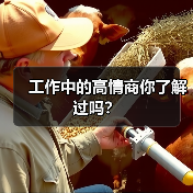 工作中的高情商你了解过吗？（图3）