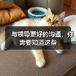 与领导更好的沟通，你需要知道这些（图2）