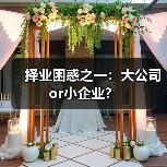 择业困惑之一：大公司or小企业？（图4）