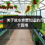 关于就业需要知道的几个真相（图4）