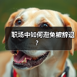 职场中如何避免被辞退？（图4）
