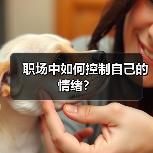职场中如何控制自己的情绪？（图1）